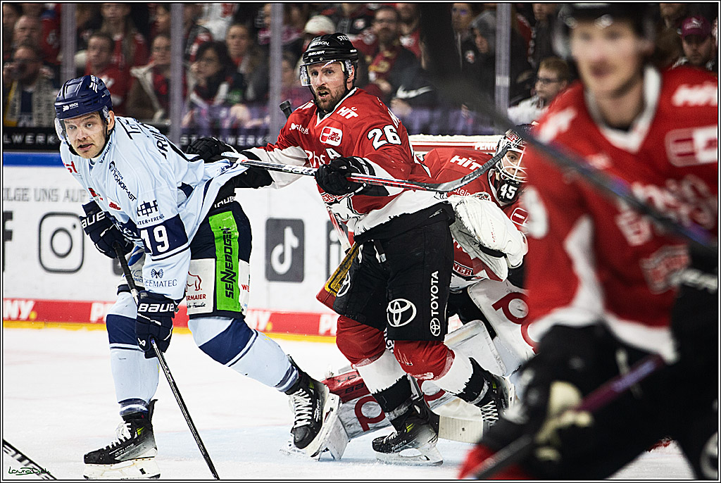 PENNY DEL; Koelner Haie- Straubing Tigers; Koeln, 15.12.2023
