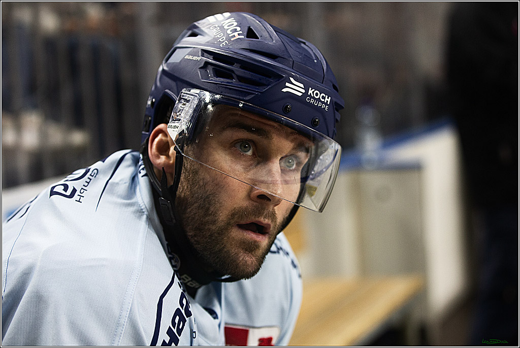 PENNY DEL; Koelner Haie- Straubing Tigers; Koeln, 15.12.2023