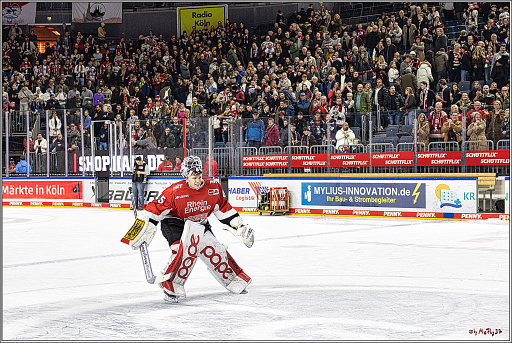 PENNY DEL 1. Koelner Haie - Straubing Tigers; Koeln, 15.12.2023