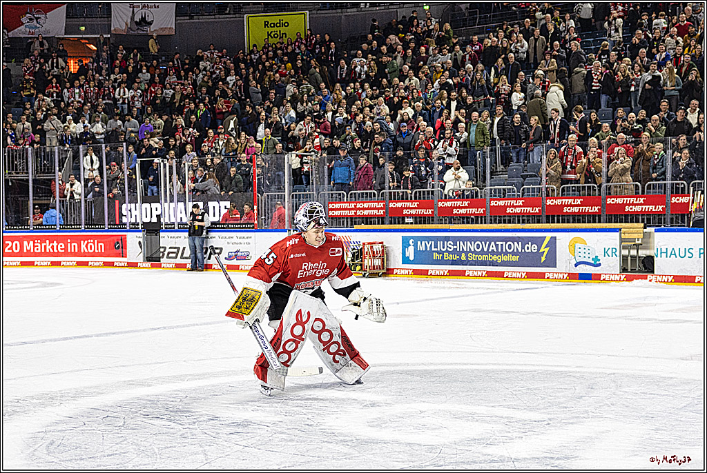 PENNY DEL 1. Koelner Haie - Straubing Tigers; Koeln, 15.12.2023