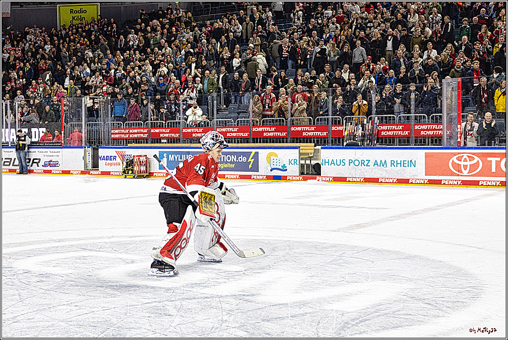 PENNY DEL 1. Koelner Haie - Straubing Tigers; Koeln, 15.12.2023