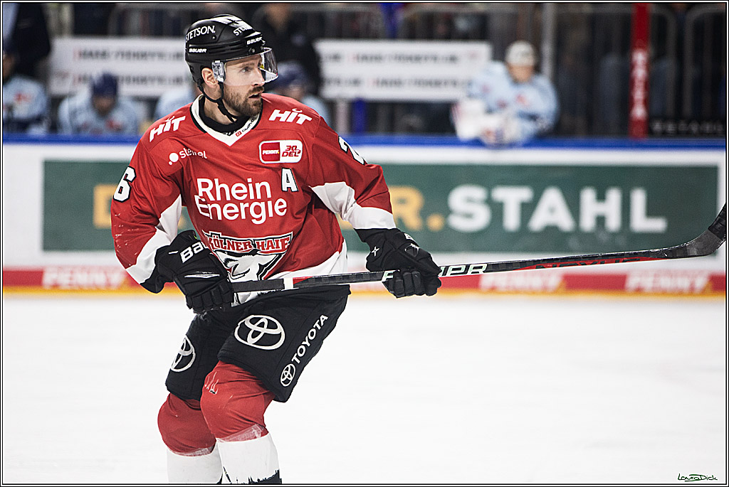 PENNY DEL; Koelner Haie- Straubing Tigers; Koeln, 15.12.2023