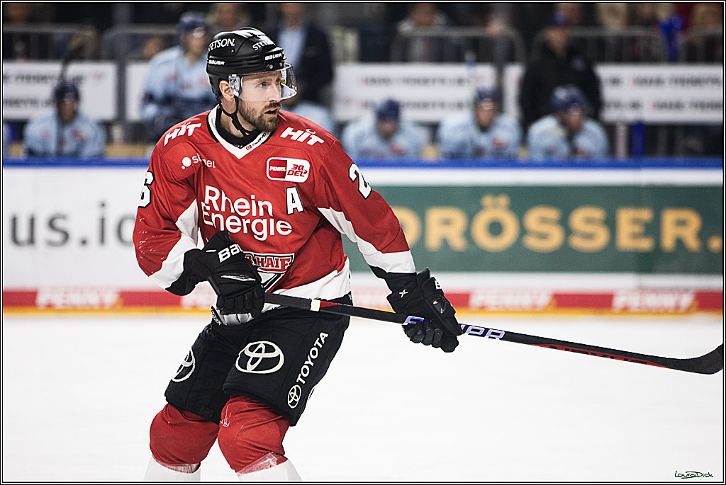 PENNY DEL; Koelner Haie- Straubing Tigers; Koeln, 15.12.2023