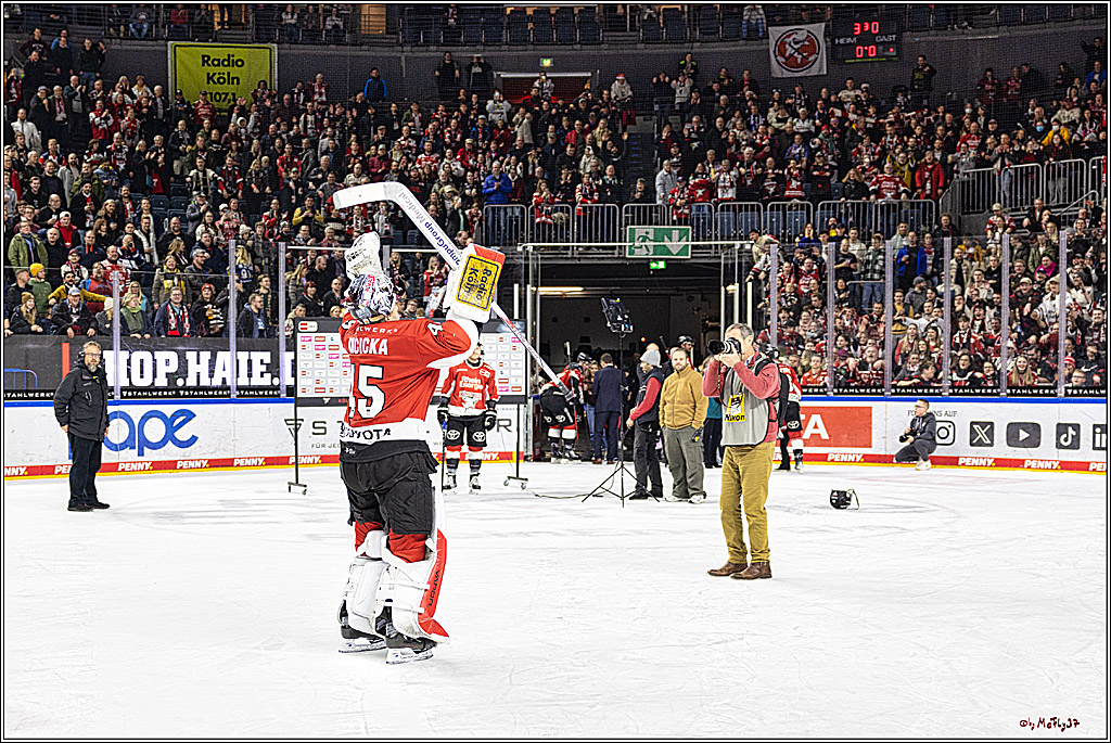 PENNY DEL 1. Koelner Haie - Straubing Tigers; Koeln, 15.12.2023