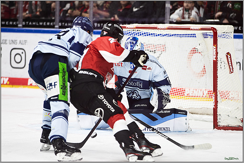 PENNY DEL; Koelner Haie- Straubing Tigers; Koeln, 15.12.2023