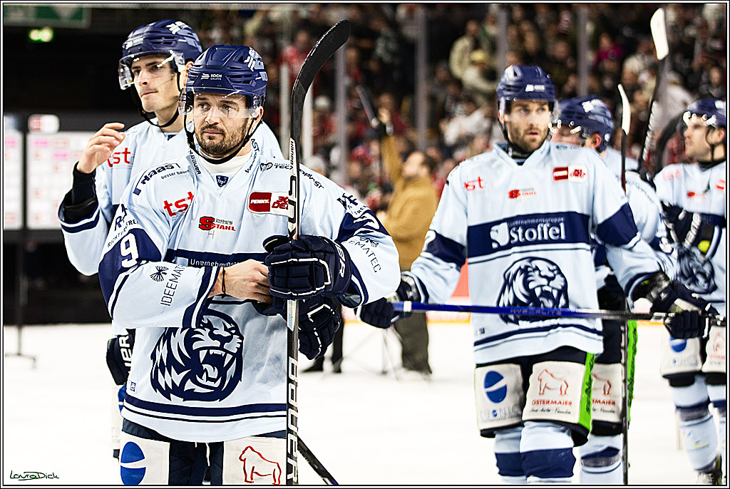 PENNY DEL; Koelner Haie- Straubing Tigers; Koeln, 15.12.2023