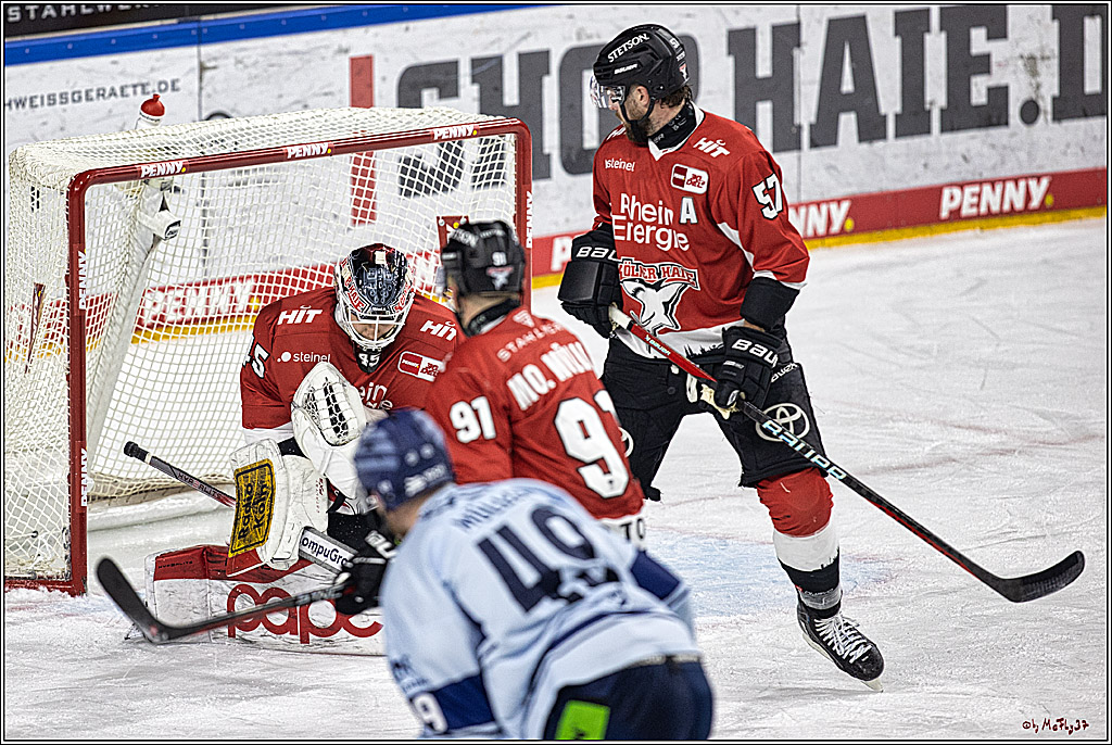 PENNY DEL 1. Koelner Haie - Straubing Tigers; Koeln, 15.12.2023