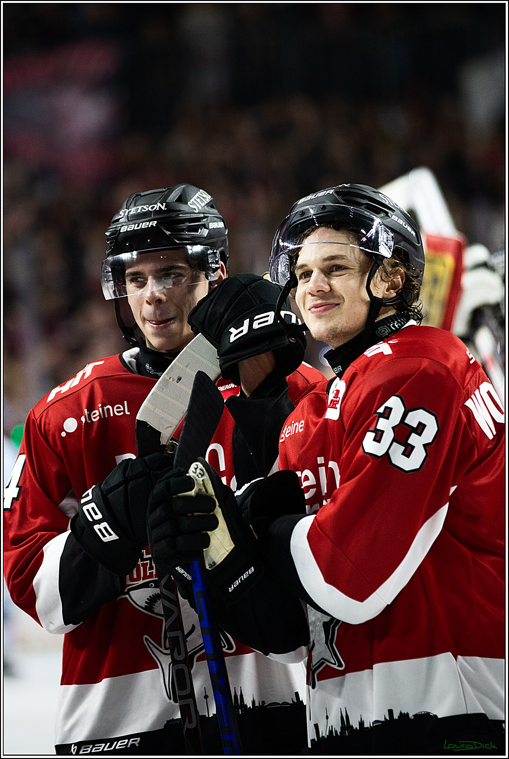 PENNY DEL; Koelner Haie- Straubing Tigers; Koeln, 15.12.2023