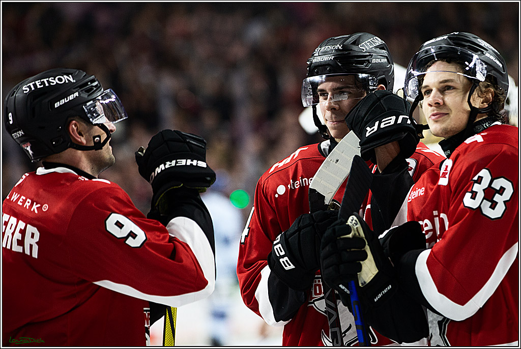 PENNY DEL; Koelner Haie- Straubing Tigers; Koeln, 15.12.2023