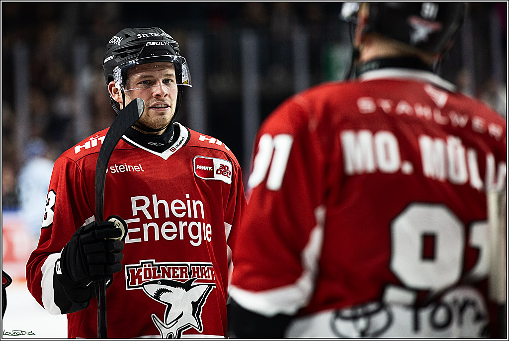 PENNY DEL; Koelner Haie- Straubing Tigers; Koeln, 15.12.2023