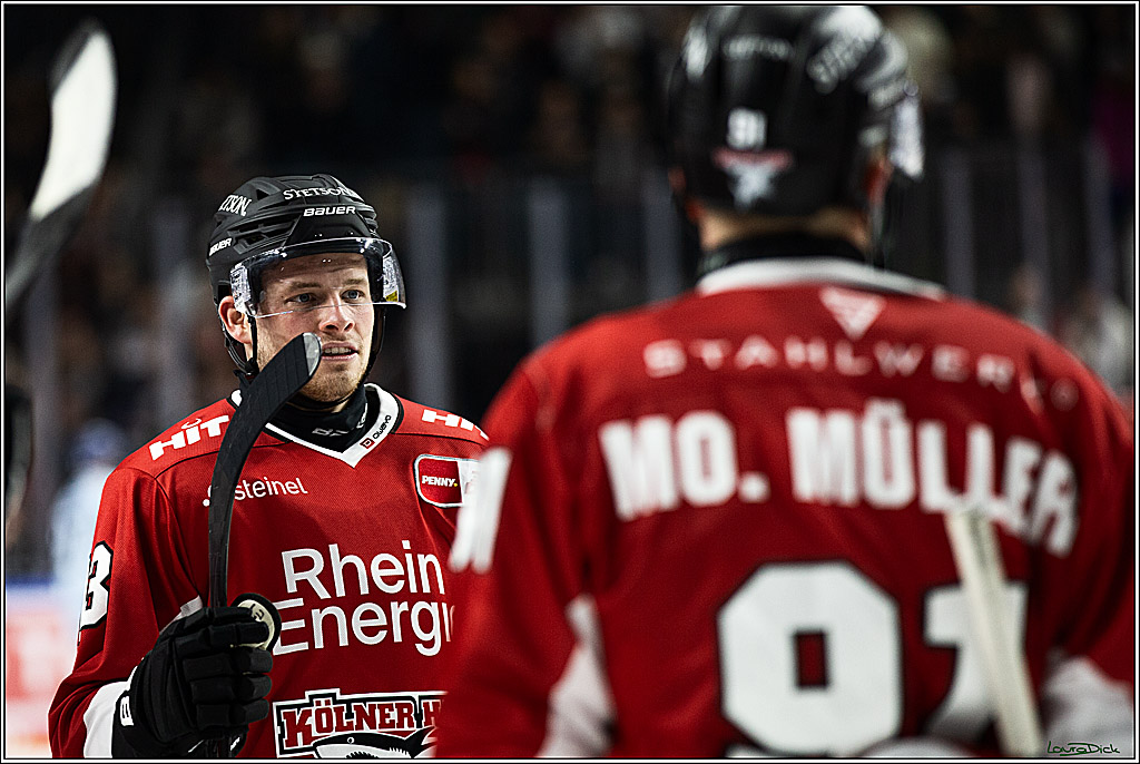 PENNY DEL; Koelner Haie- Straubing Tigers; Koeln, 15.12.2023