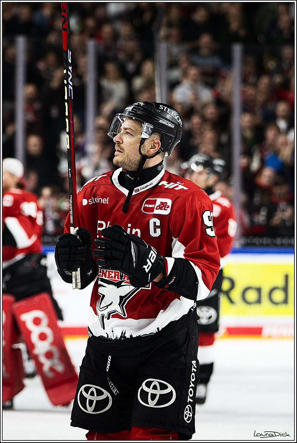 PENNY DEL; Koelner Haie- Straubing Tigers; Koeln, 15.12.2023