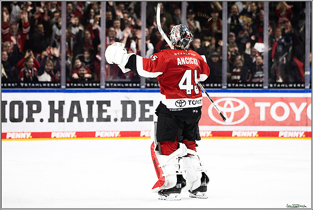 PENNY DEL; Koelner Haie- Straubing Tigers; Koeln, 15.12.2023