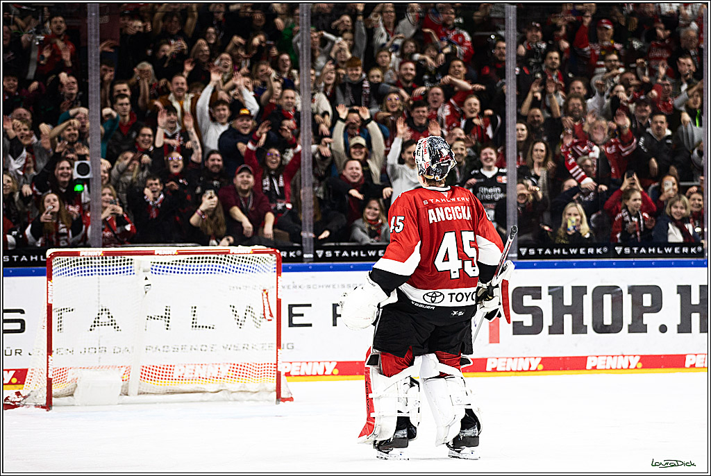 PENNY DEL; Koelner Haie- Straubing Tigers; Koeln, 15.12.2023