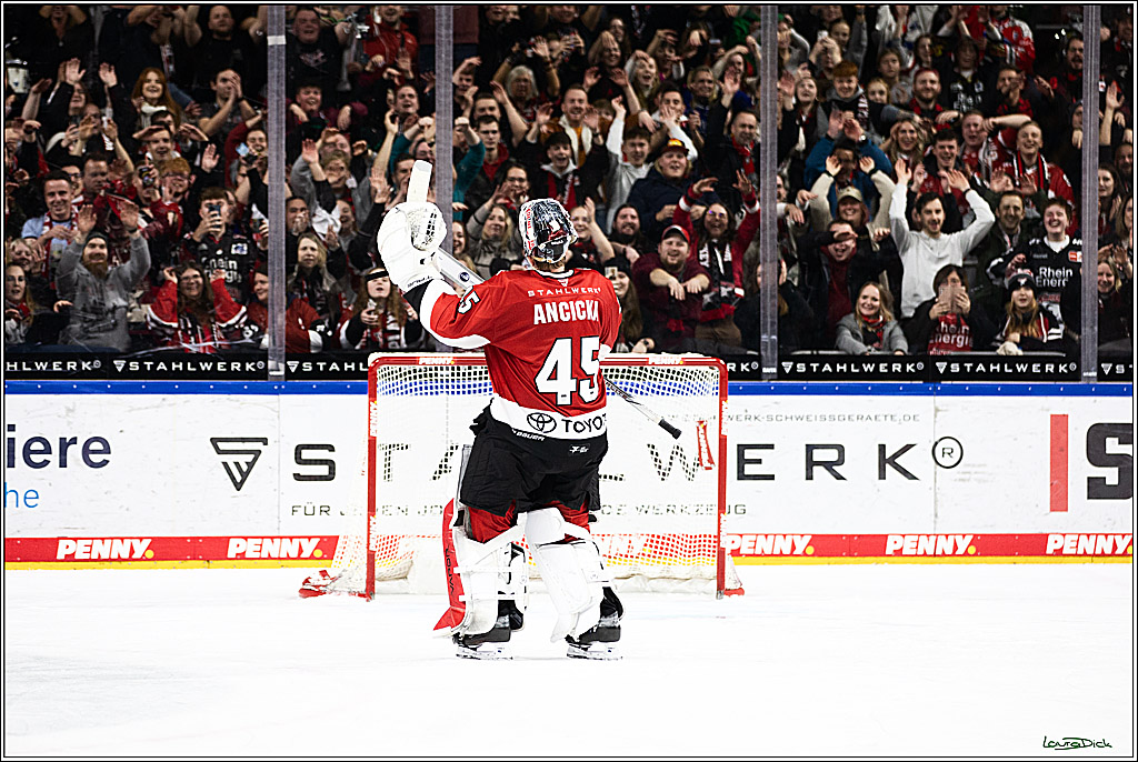 PENNY DEL; Koelner Haie- Straubing Tigers; Koeln, 15.12.2023