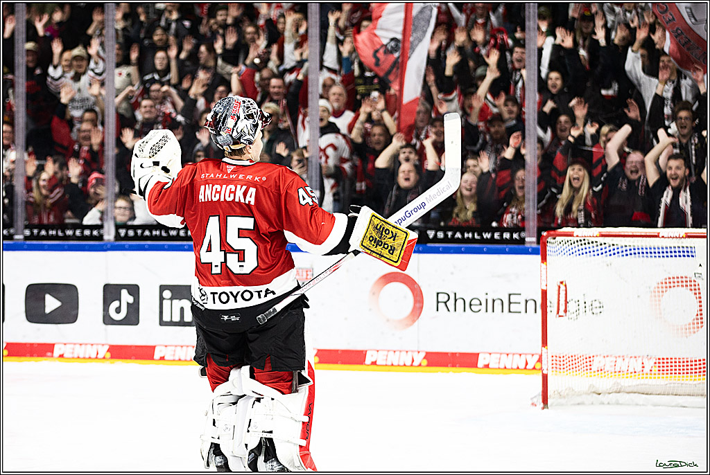 PENNY DEL; Koelner Haie- Straubing Tigers; Koeln, 15.12.2023
