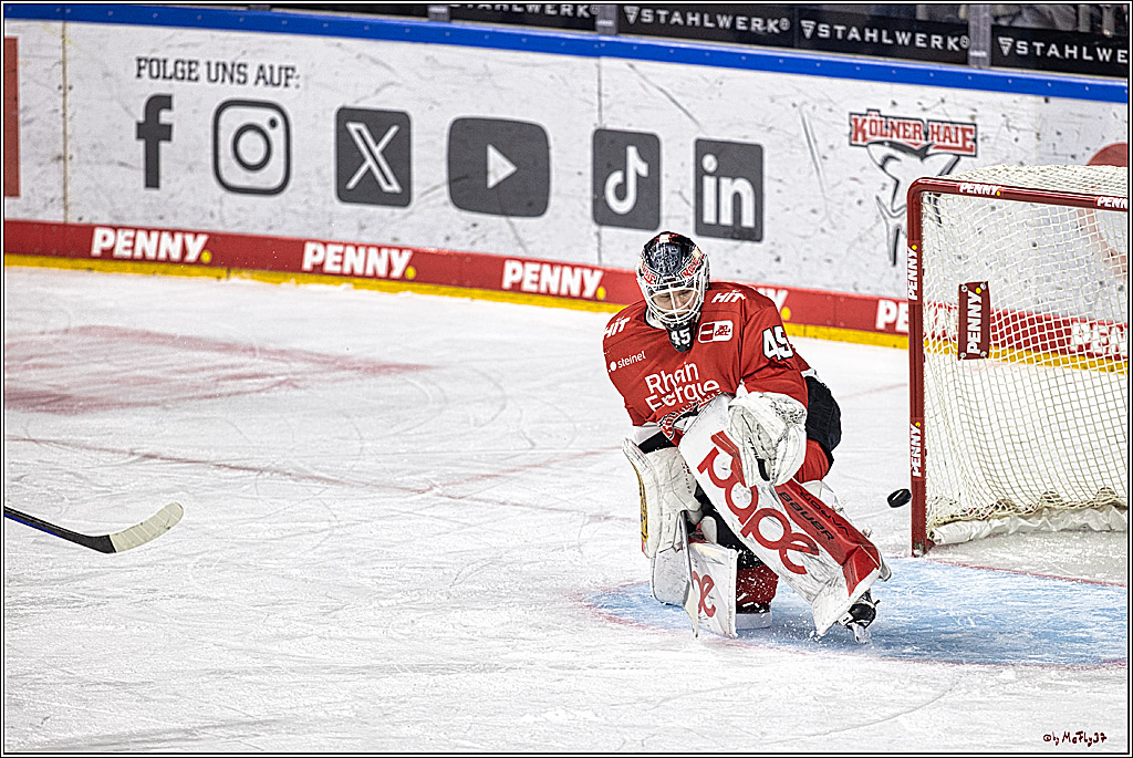 PENNY DEL 1. Koelner Haie - Straubing Tigers; Koeln, 15.12.2023