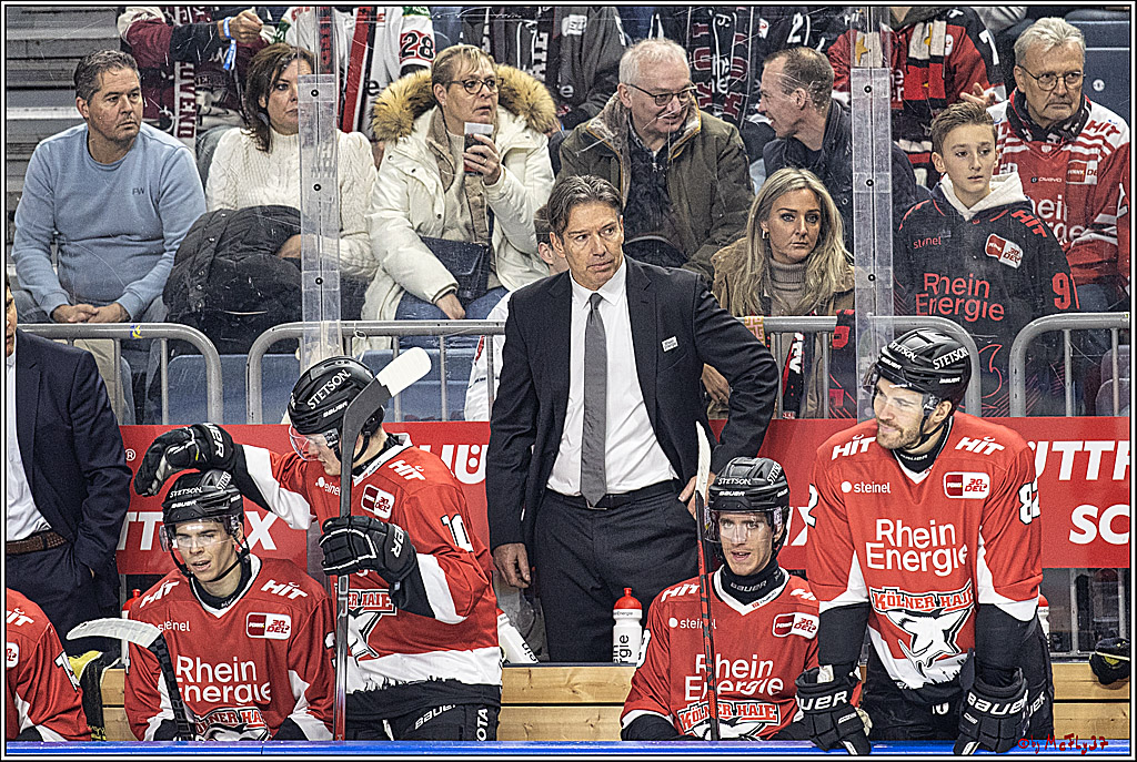 PENNY DEL 1. Koelner Haie - Straubing Tigers; Koeln, 15.12.2023