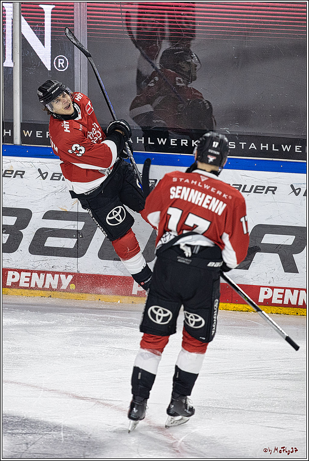 PENNY DEL 1. Koelner Haie - Straubing Tigers; Koeln, 15.12.2023