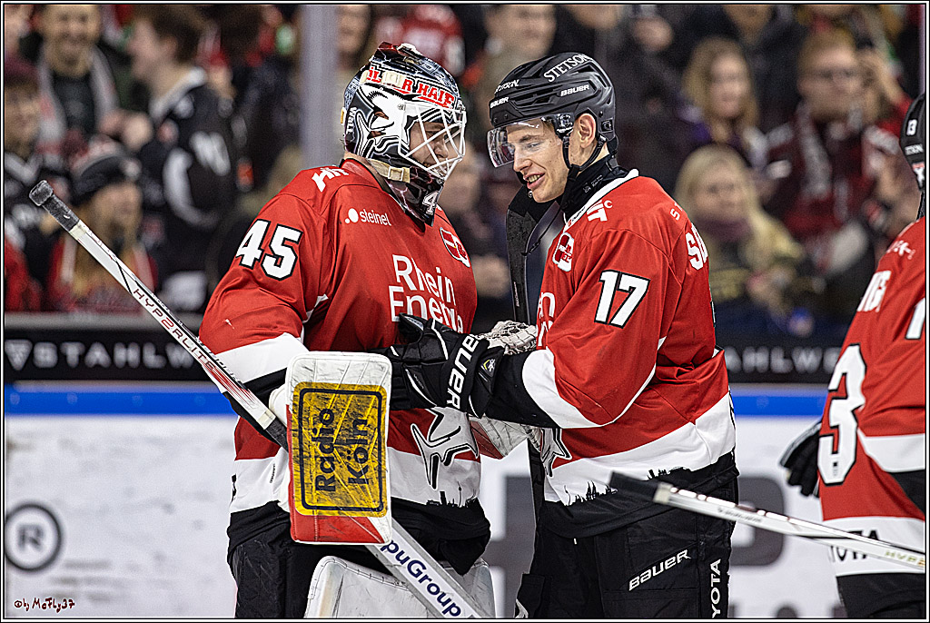 PENNY DEL 1. Koelner Haie - Straubing Tigers; Koeln, 15.12.2023