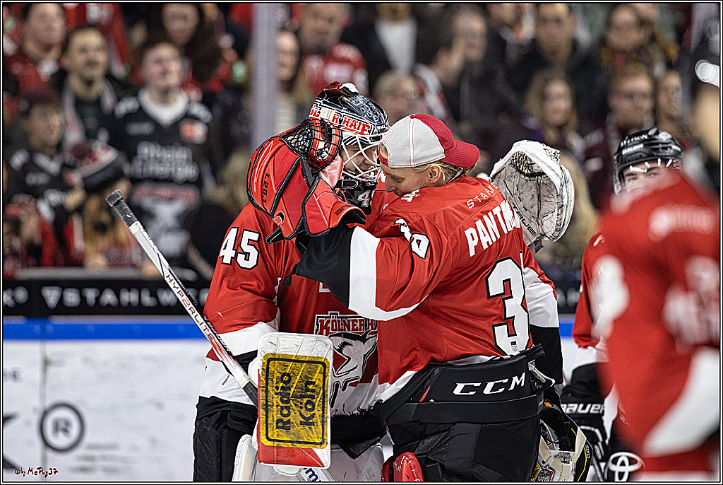 PENNY DEL 1. Koelner Haie - Straubing Tigers; Koeln, 15.12.2023