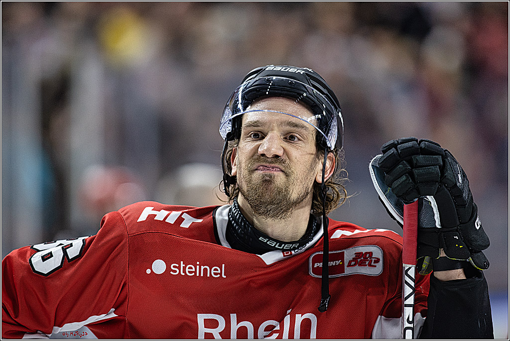 PENNY DEL 1. Koelner Haie - Straubing Tigers; Koeln, 15.12.2023