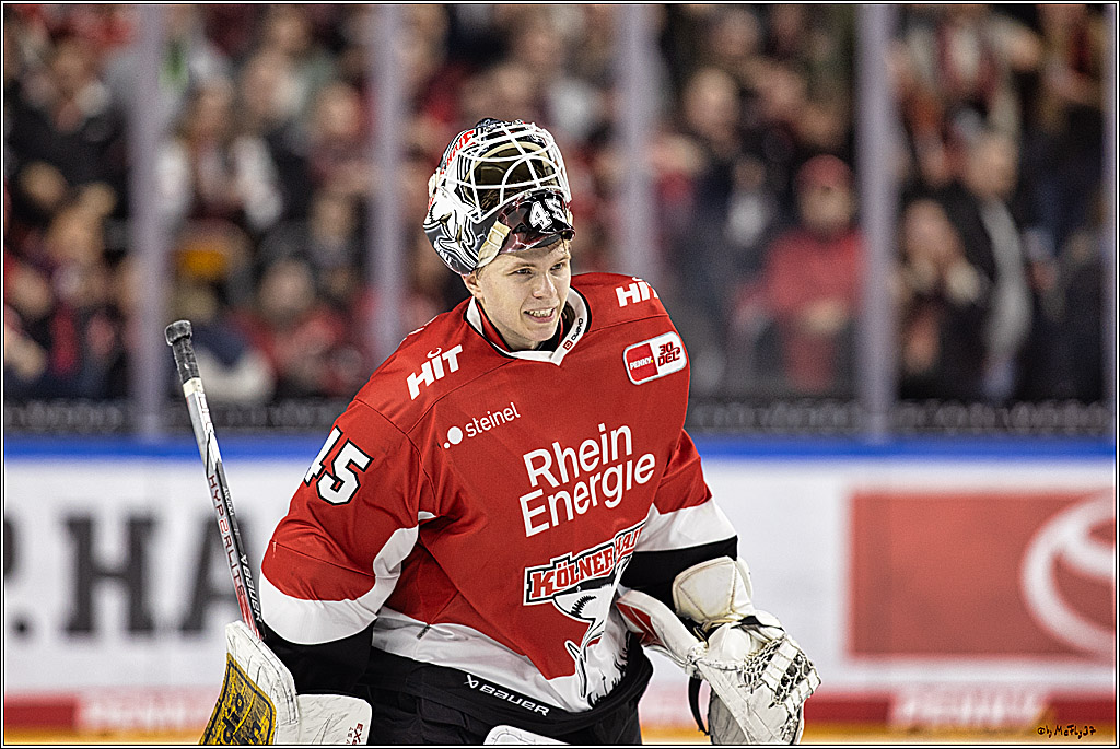 PENNY DEL 1. Koelner Haie - Straubing Tigers; Koeln, 15.12.2023