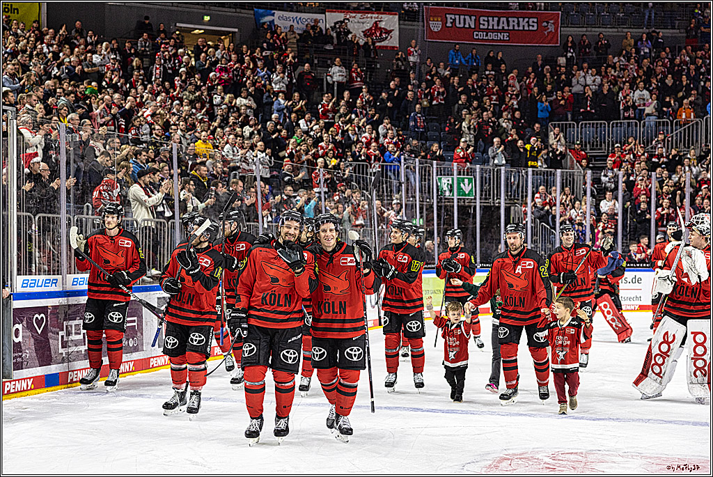 PENNY DEL 1. Koelner Haie - Nürnberg Ice Tigers; Koeln, 17.12.2023