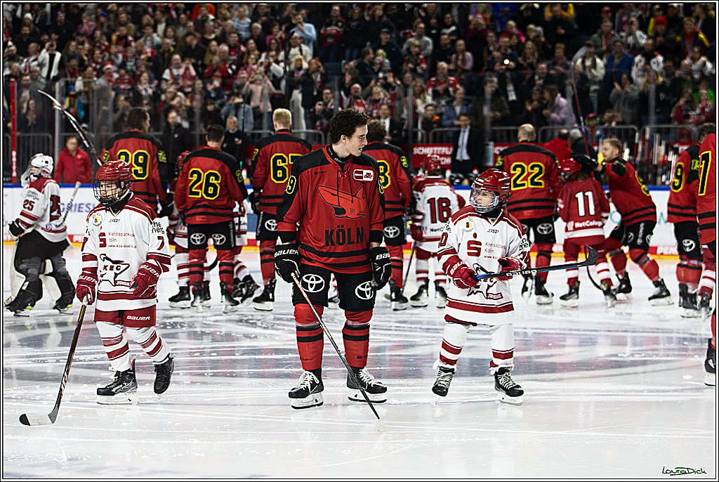 PENNY DEL; Koelner Haie- Nuernberger Ice Tigers; Koeln, 17.12.2023
