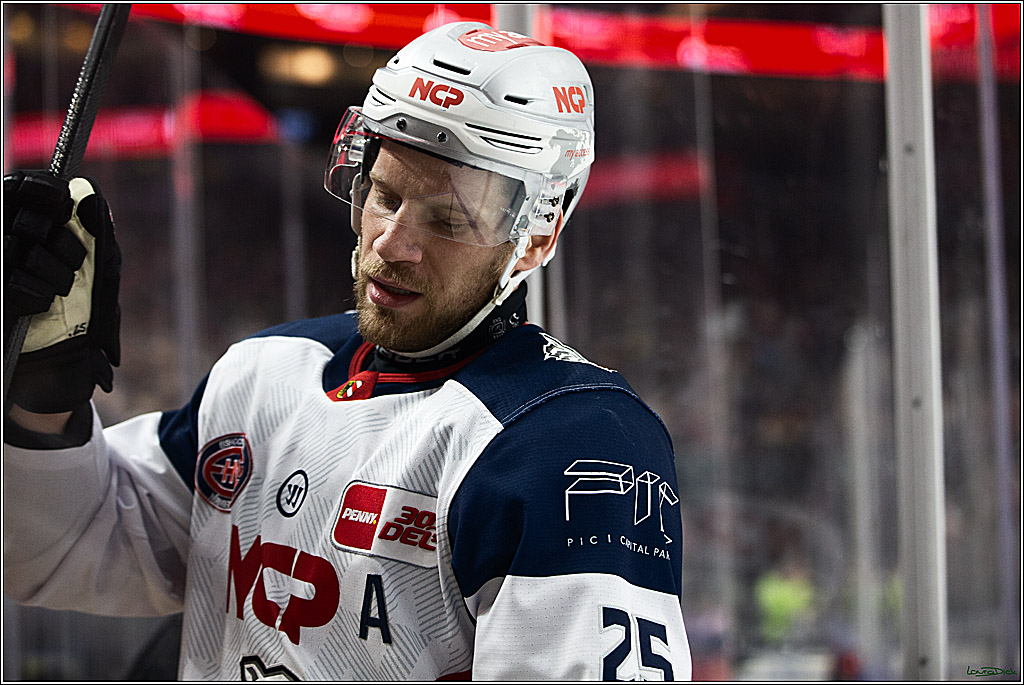 PENNY DEL; Koelner Haie- Nuernberger Ice Tigers; Koeln, 17.12.2023