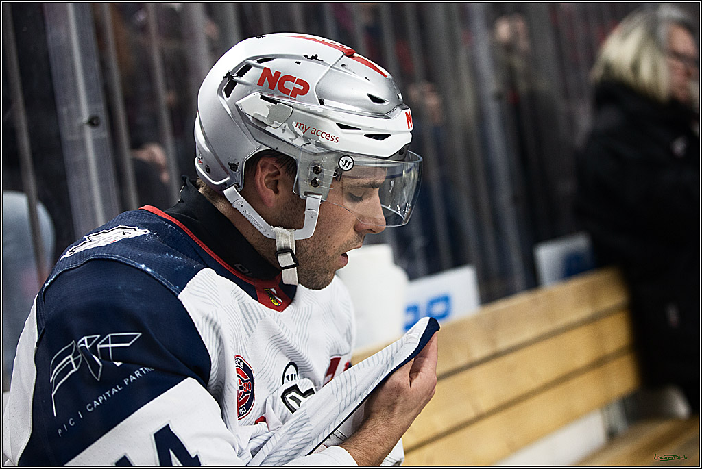 PENNY DEL; Koelner Haie- Nuernberger Ice Tigers; Koeln, 17.12.2023