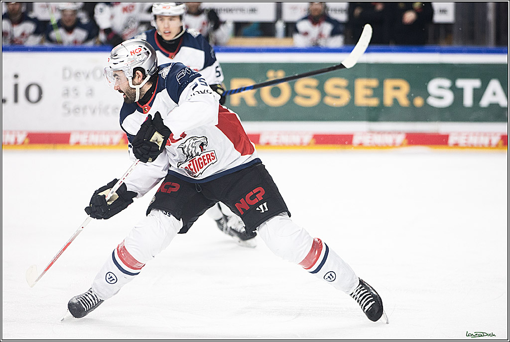 PENNY DEL; Koelner Haie- Nuernberger Ice Tigers; Koeln, 17.12.2023