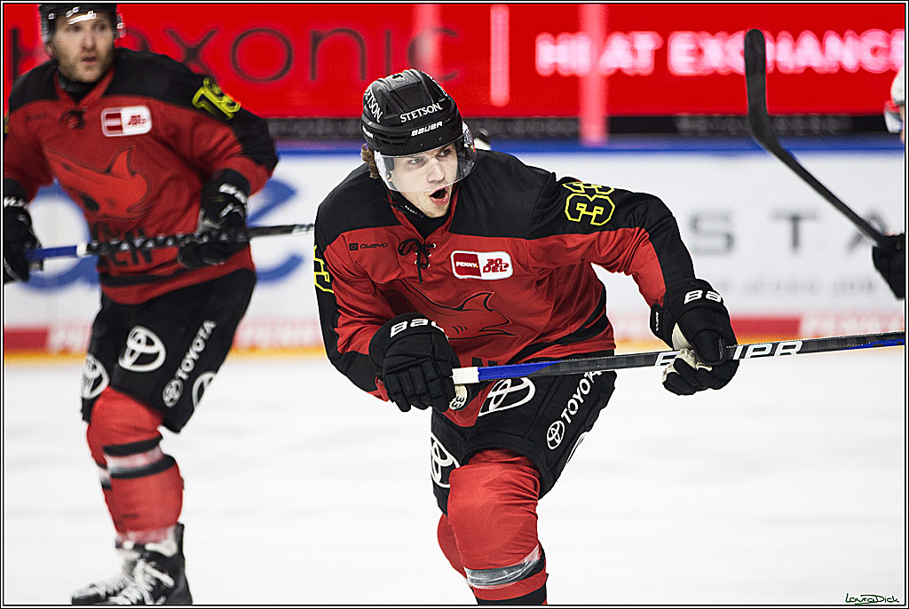 PENNY DEL; Koelner Haie- Nuernberger Ice Tigers; Koeln, 17.12.2023