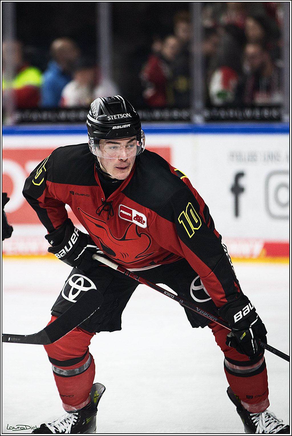 PENNY DEL; Koelner Haie- Nuernberger Ice Tigers; Koeln, 17.12.2023