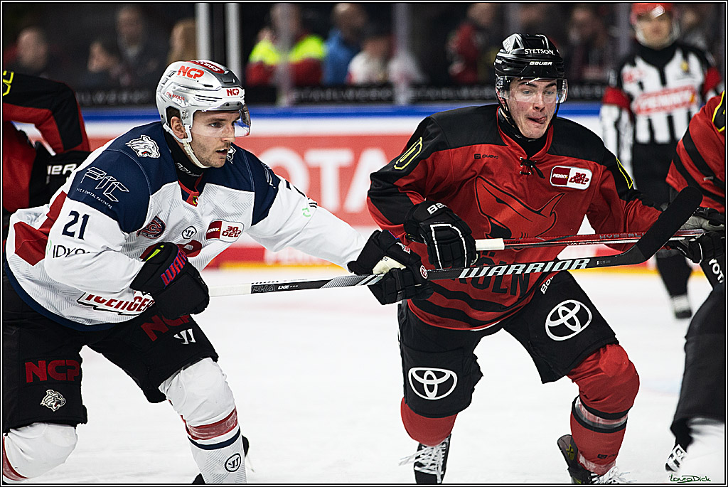 PENNY DEL; Koelner Haie- Nuernberger Ice Tigers; Koeln, 17.12.2023