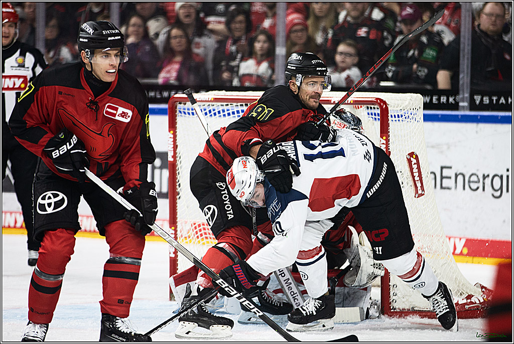 PENNY DEL; Koelner Haie- Nuernberger Ice Tigers; Koeln, 17.12.2023