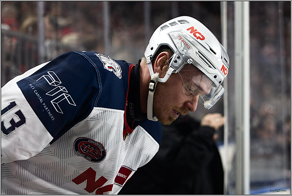 PENNY DEL; Koelner Haie- Nuernberger Ice Tigers; Koeln, 17.12.2023