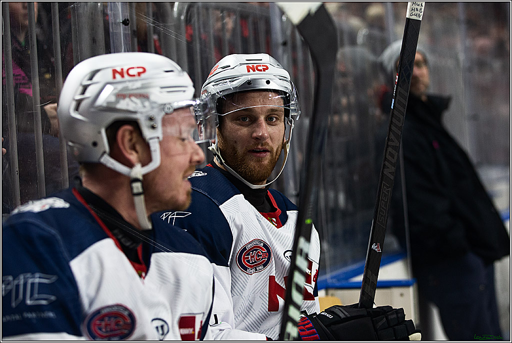 PENNY DEL; Koelner Haie- Nuernberger Ice Tigers; Koeln, 17.12.2023