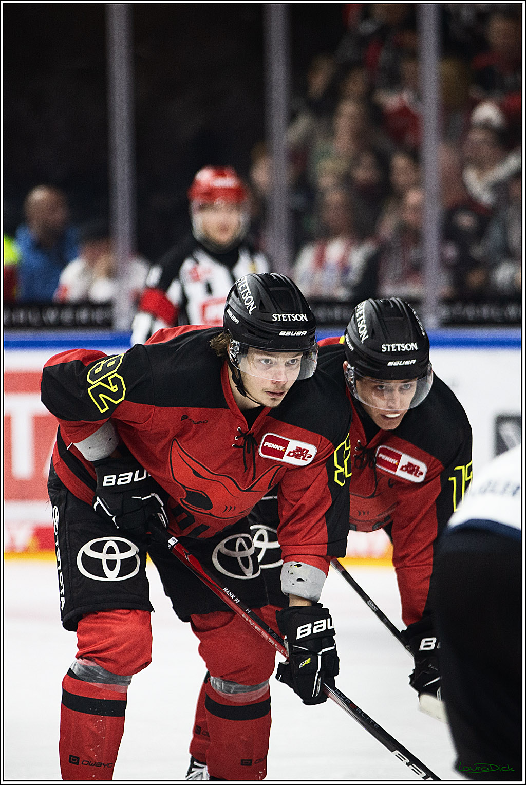 PENNY DEL; Koelner Haie- Nuernberger Ice Tigers; Koeln, 17.12.2023