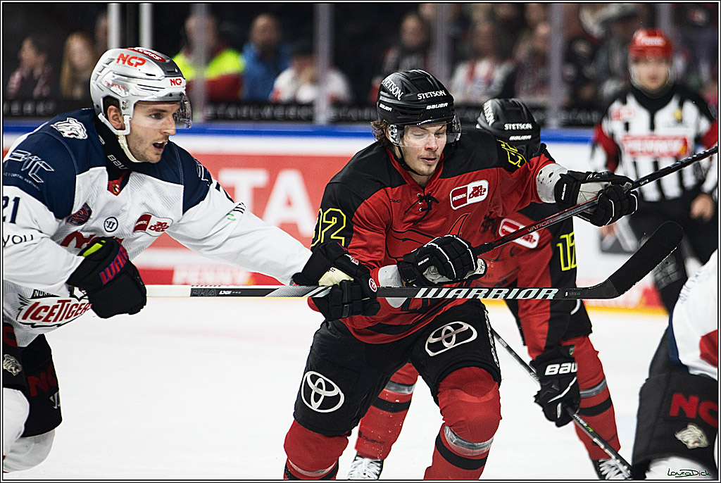 PENNY DEL; Koelner Haie- Nuernberger Ice Tigers; Koeln, 17.12.2023
