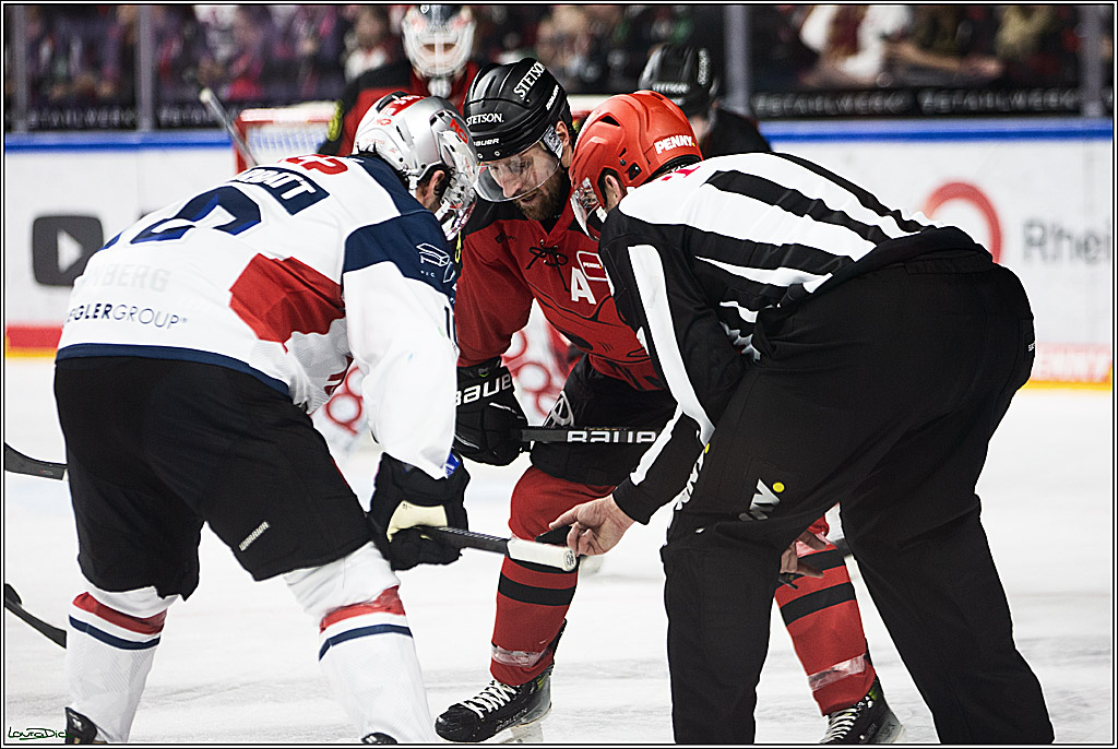 PENNY DEL; Koelner Haie- Nuernberger Ice Tigers; Koeln, 17.12.2023