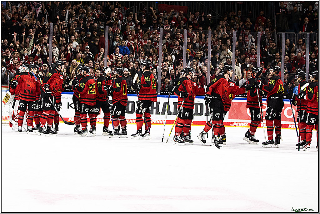 PENNY DEL; Koelner Haie- Nuernberger Ice Tigers; Koeln, 17.12.2023