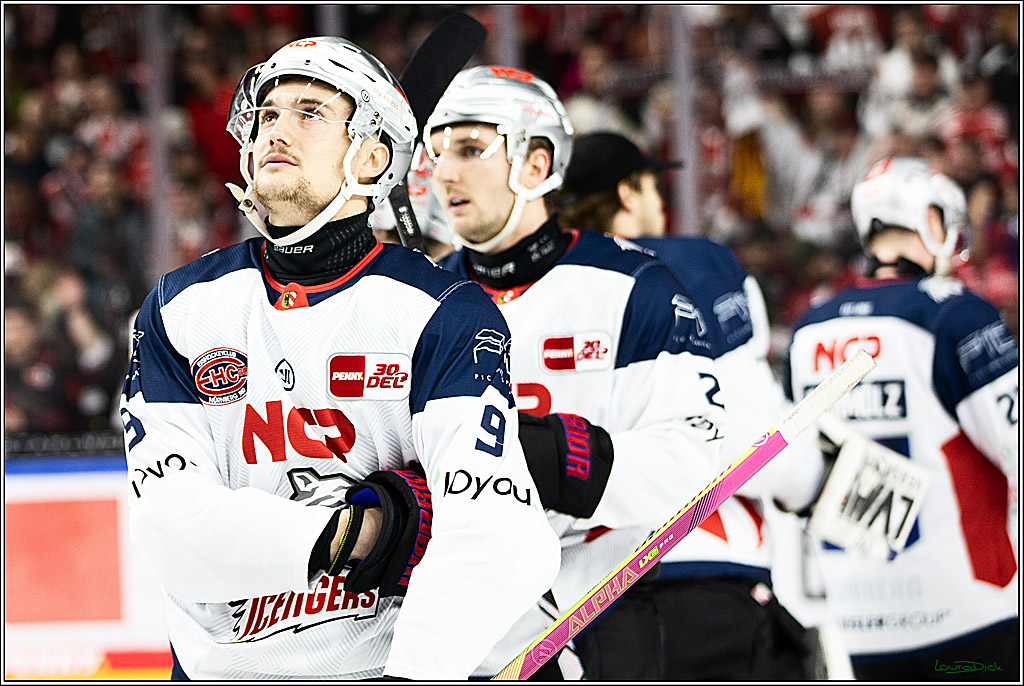 PENNY DEL; Koelner Haie- Nuernberger Ice Tigers; Koeln, 17.12.2023