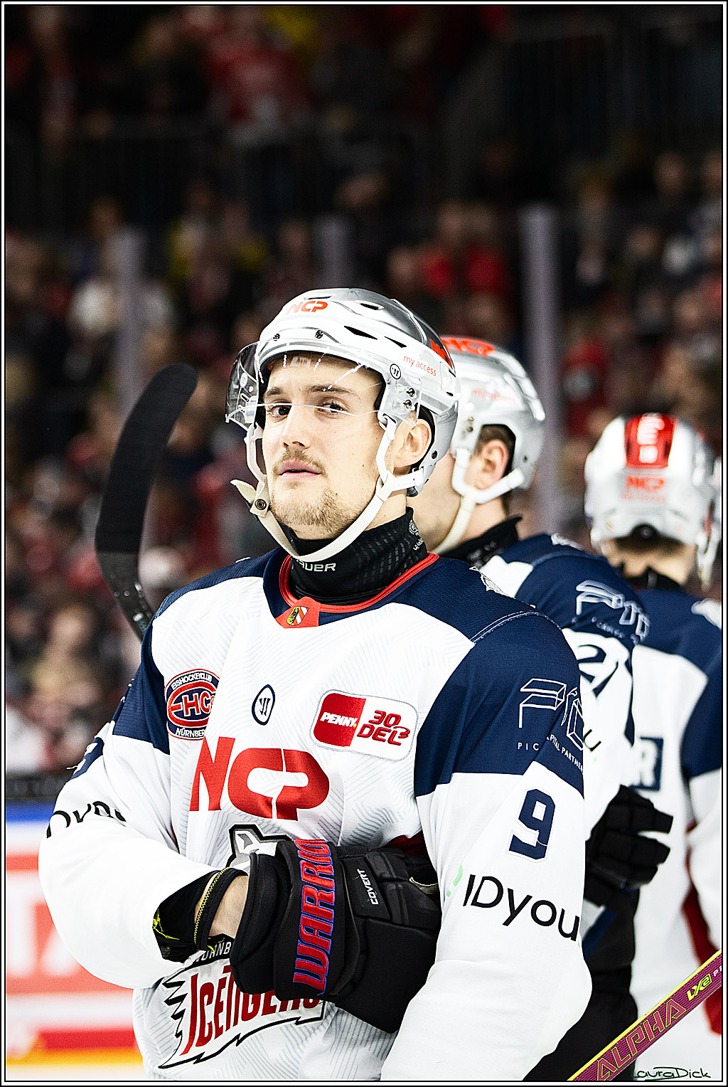 PENNY DEL; Koelner Haie- Nuernberger Ice Tigers; Koeln, 17.12.2023