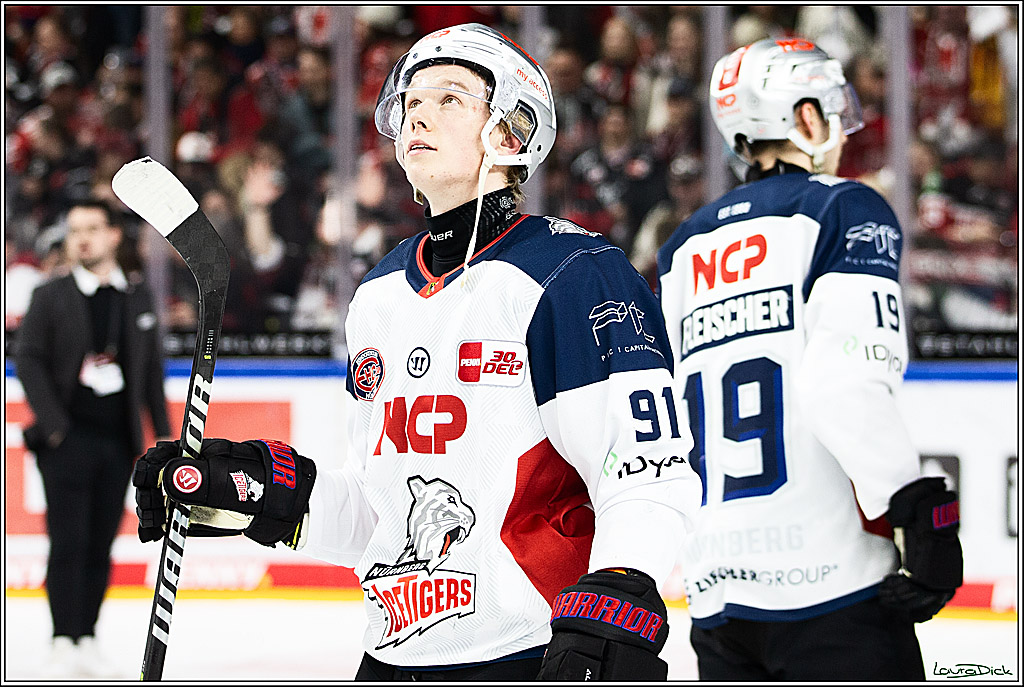 PENNY DEL; Koelner Haie- Nuernberger Ice Tigers; Koeln, 17.12.2023