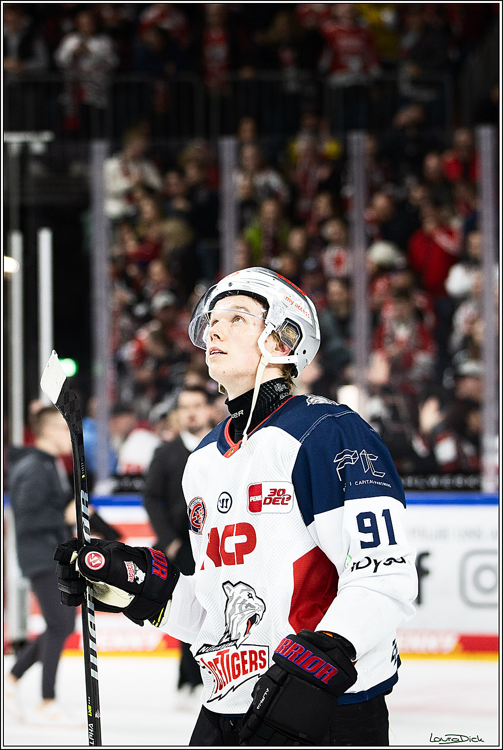 PENNY DEL; Koelner Haie- Nuernberger Ice Tigers; Koeln, 17.12.2023