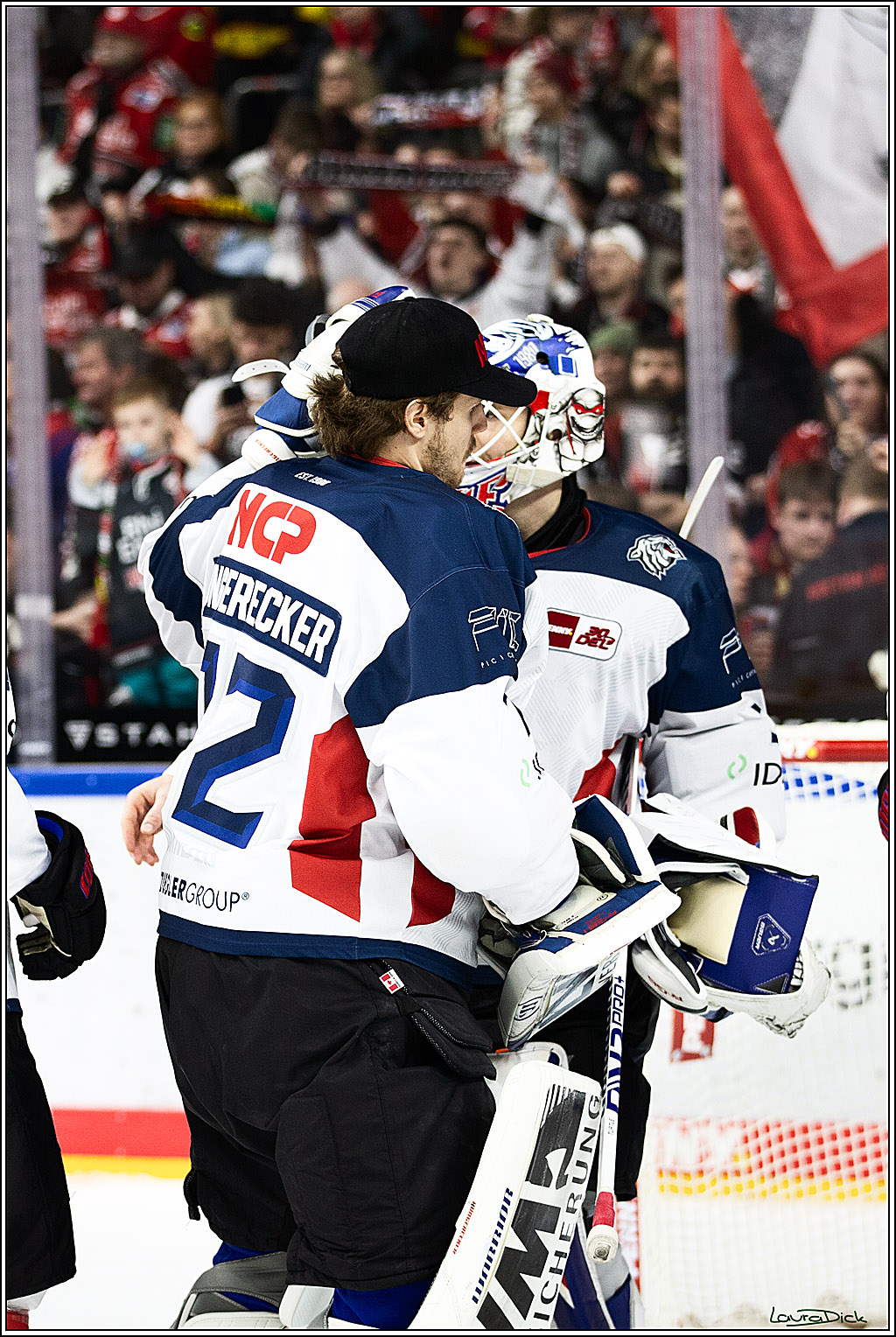 PENNY DEL; Koelner Haie- Nuernberger Ice Tigers; Koeln, 17.12.2023