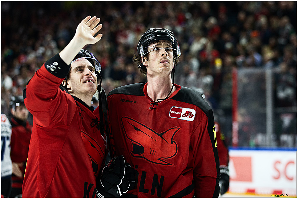 PENNY DEL; Koelner Haie- Nuernberger Ice Tigers; Koeln, 17.12.2023