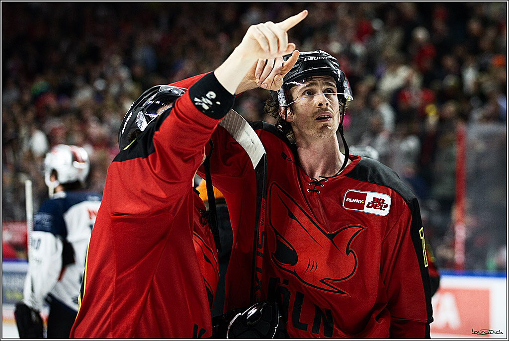 PENNY DEL; Koelner Haie- Nuernberger Ice Tigers; Koeln, 17.12.2023