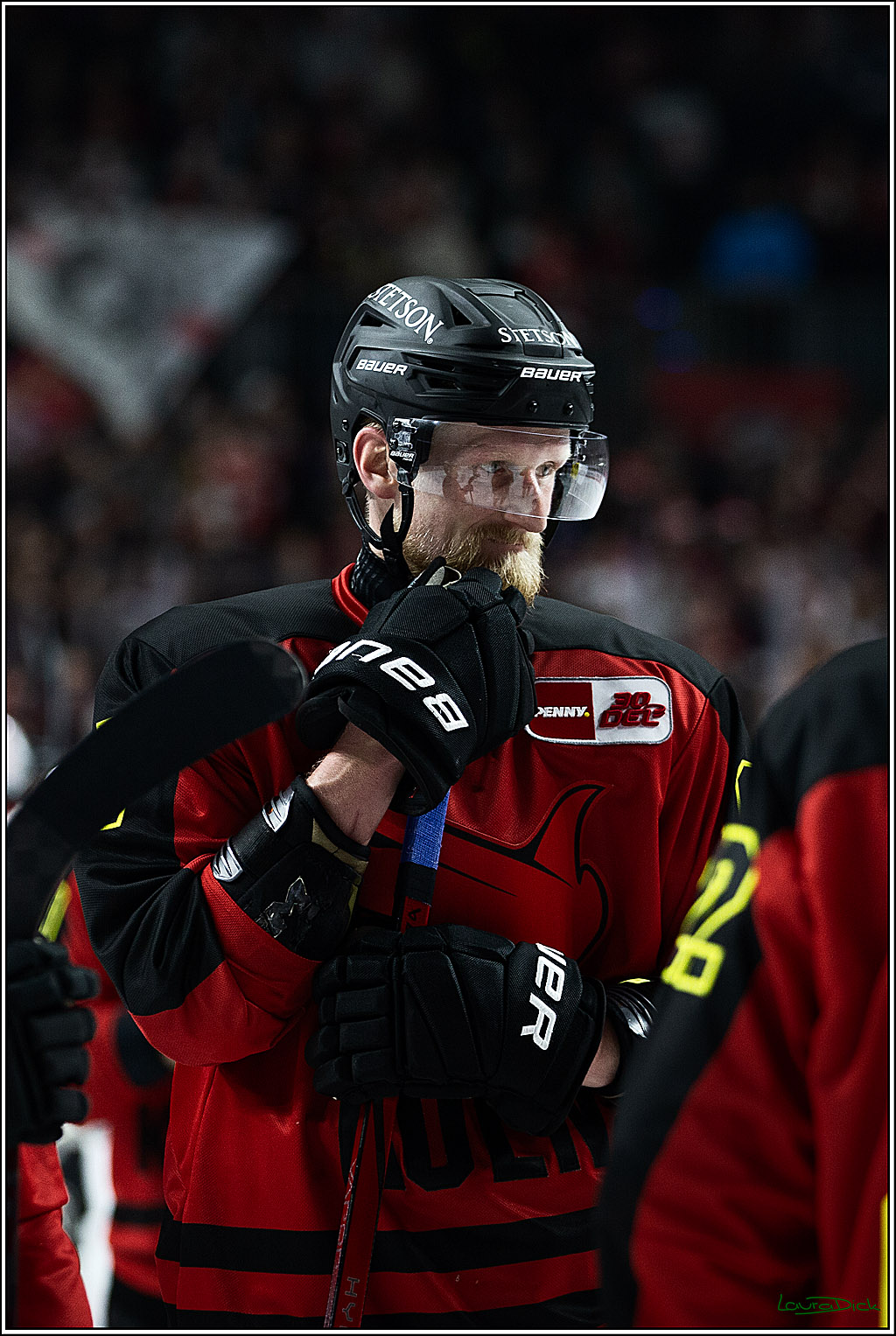 PENNY DEL; Koelner Haie- Nuernberger Ice Tigers; Koeln, 17.12.2023